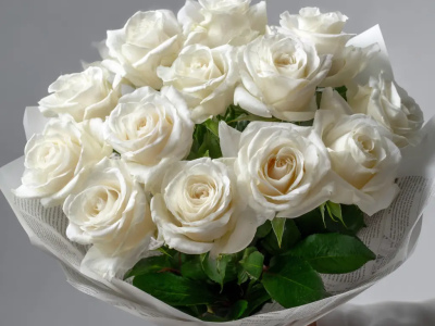 Белые розы «Северная нега»