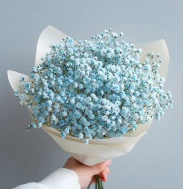 Монобукет из гипсофилы «Лунный свет»