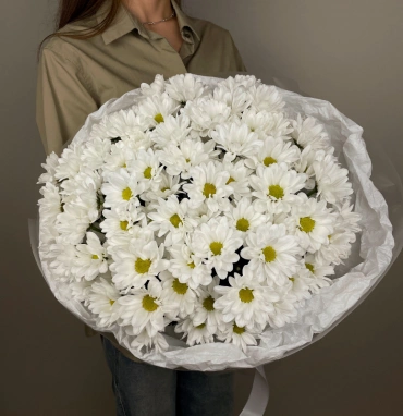 Монобукет из хризантем снежное совершенство ромашек