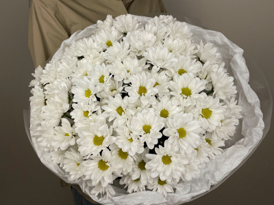Монобукет из хризантем снежное совершенство ромашек