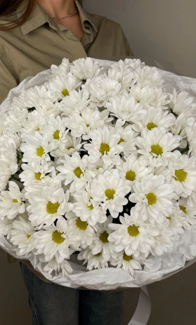 Монобукет из хризантем снежное совершенство ромашек