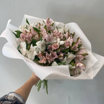Монобукет из альстромерий Нежное очарование 