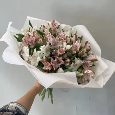 Монобукет из альстромерий Нежное очарование 