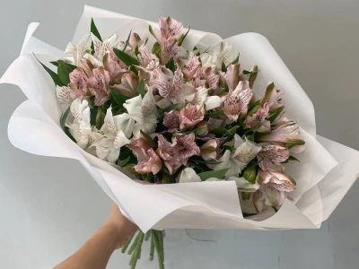 Монобукет из альстромерий Нежное очарование 