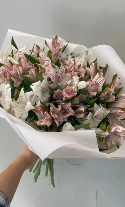 Монобукет из альстромерий Нежное очарование 