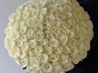 Букет роз белое облако