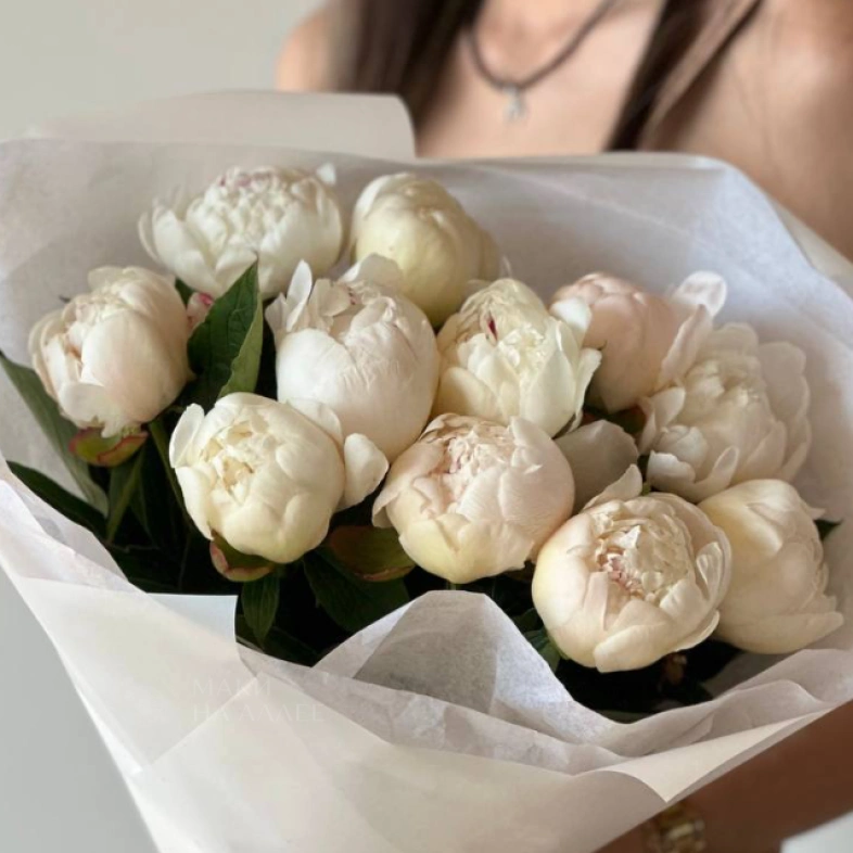 Нежное Облако