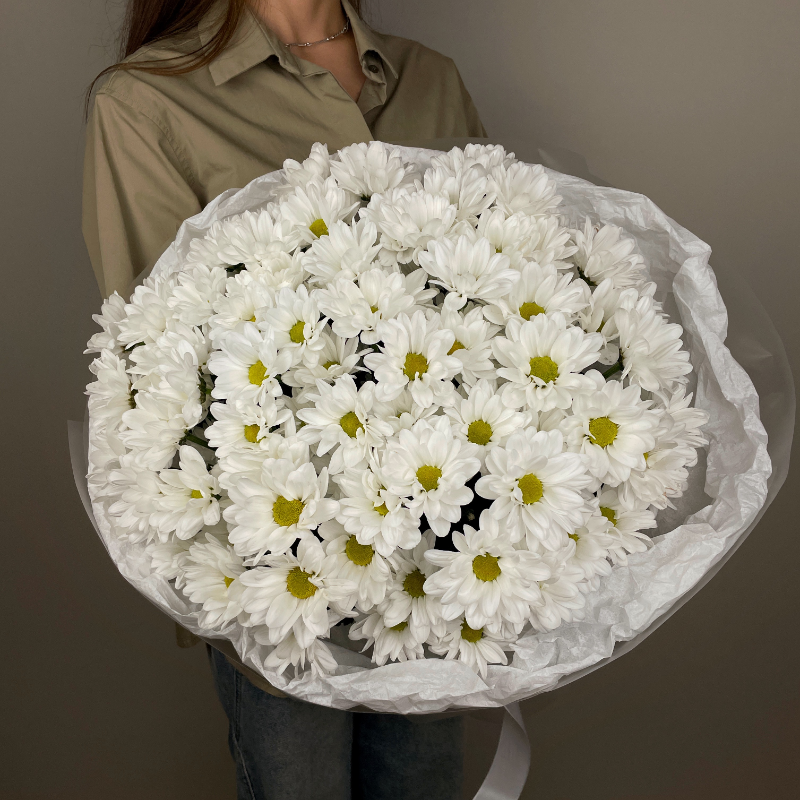 Монобукет из хризантем снежное совершенство ромашек
